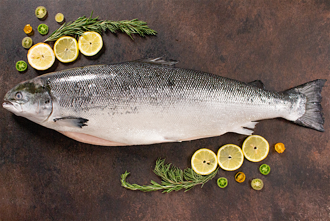 Buy Fresh Norwegian Salmon Online - Cambay Tiger
